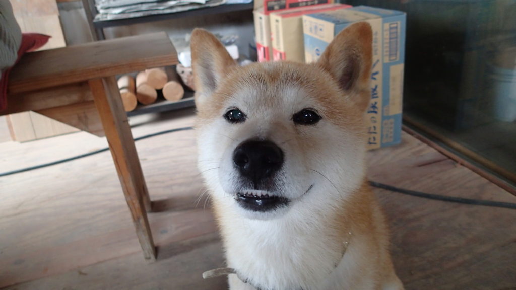 休憩室で待てしています。