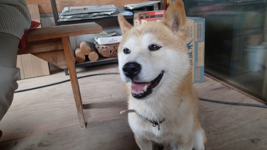 まだもらえません・・・