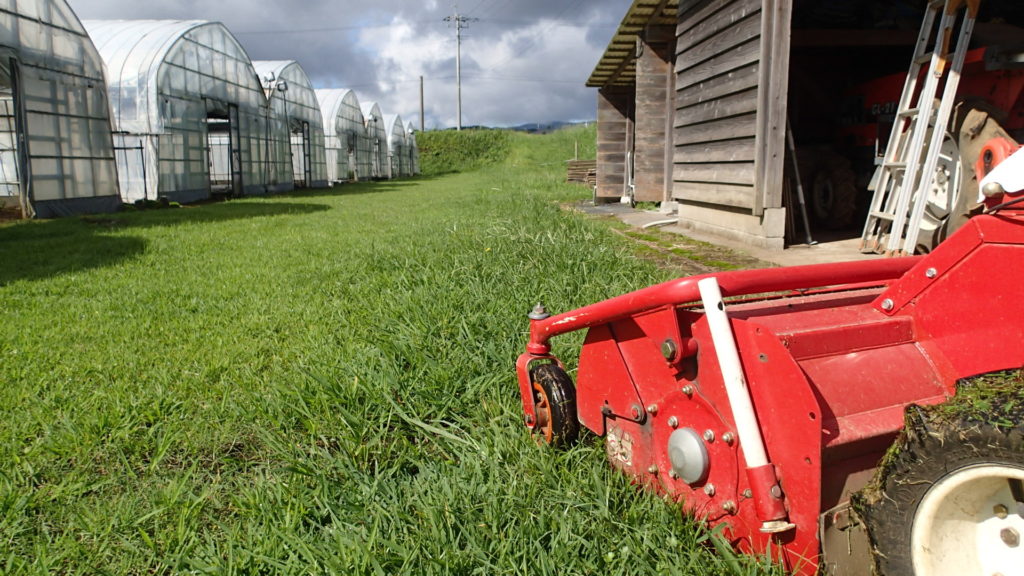 けっこう伸びました。