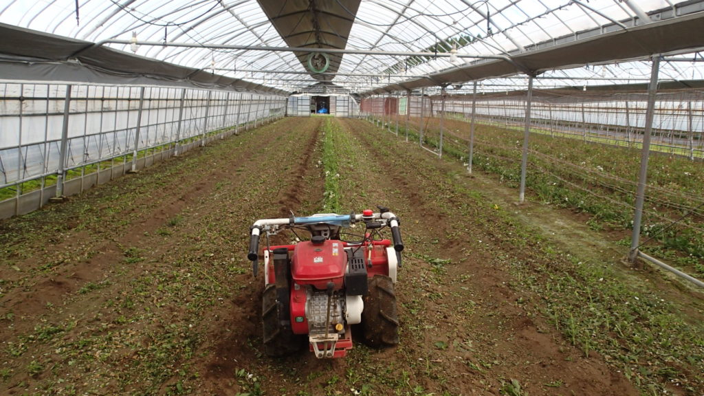 収穫が終了したハウスに、ハンマーナイフです。