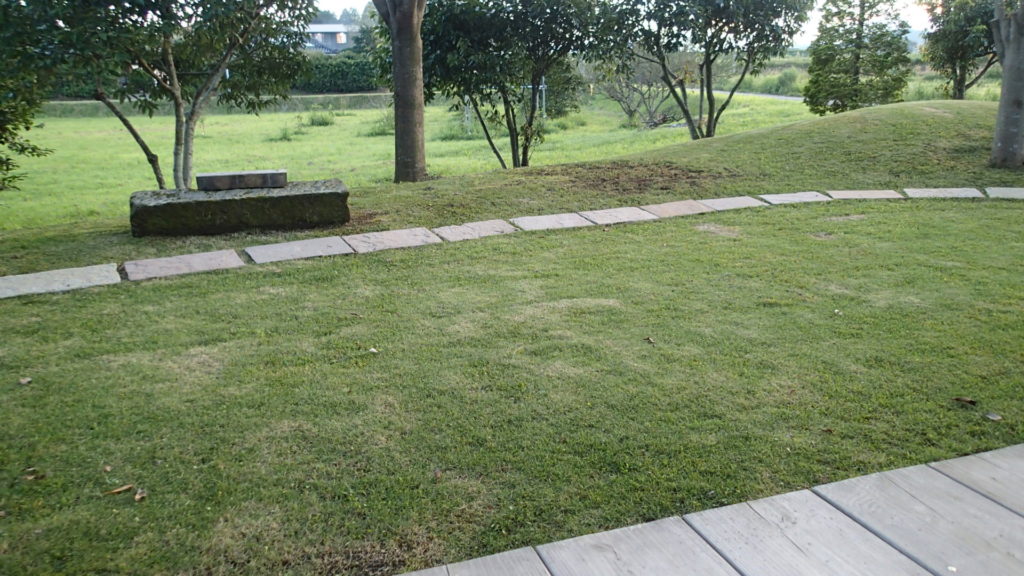 芝刈りしたあとはきれいです。