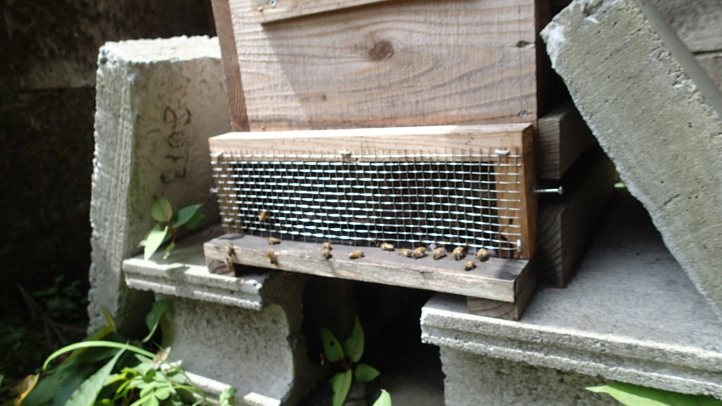 ブロックが台です。