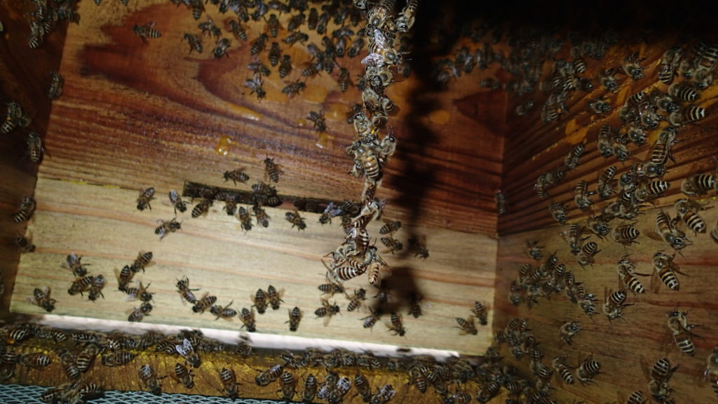 昨年もこんなのがありましたが・・・