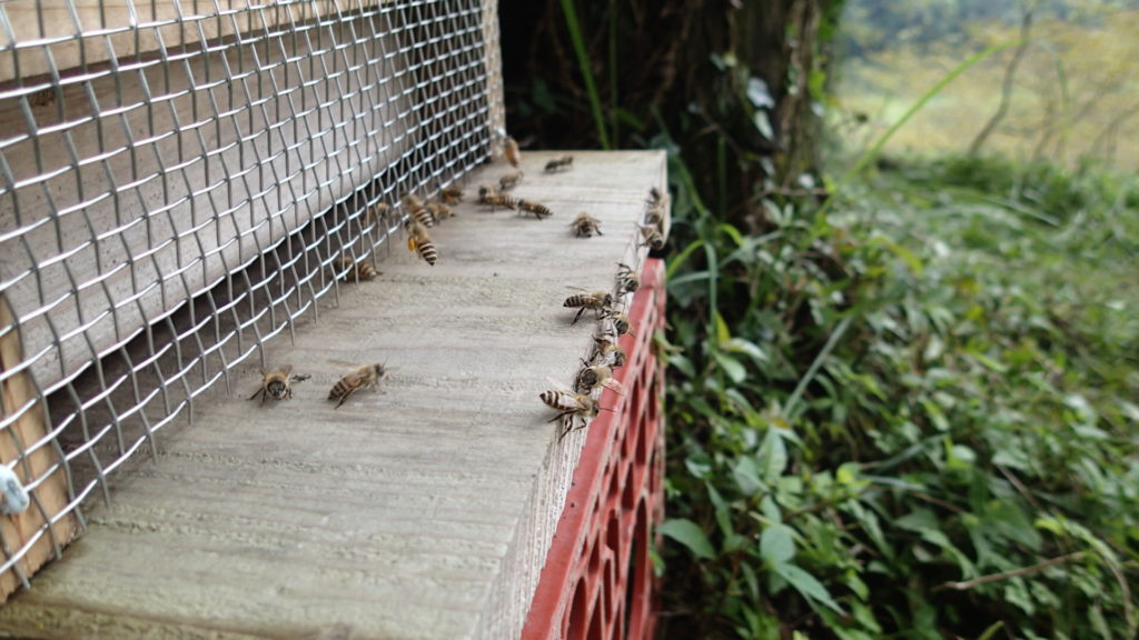見入ってしまいます。