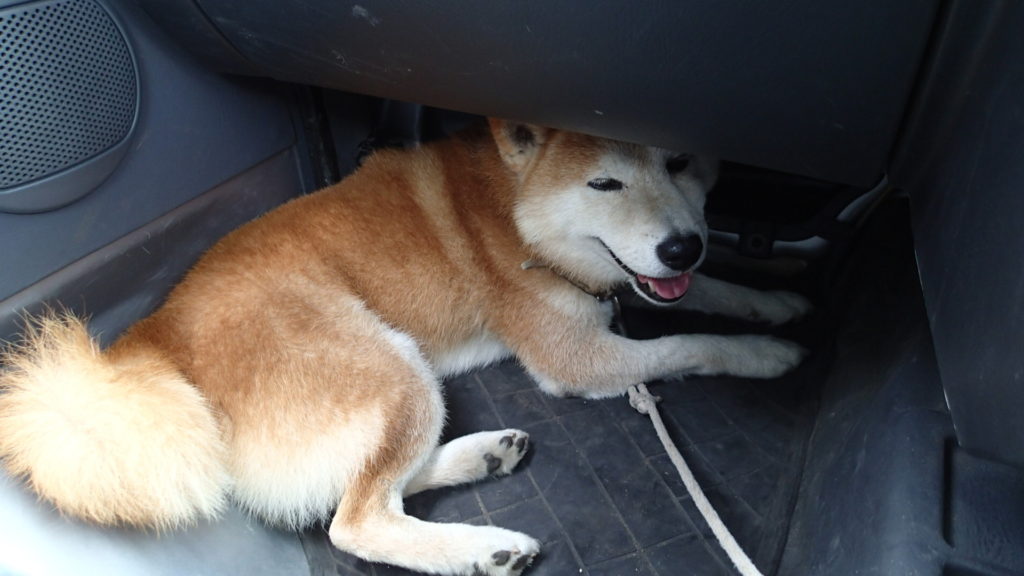 涼しいのね、ここは、