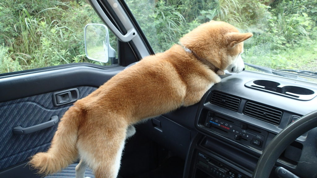 この姿勢で横Gにも耐えます。