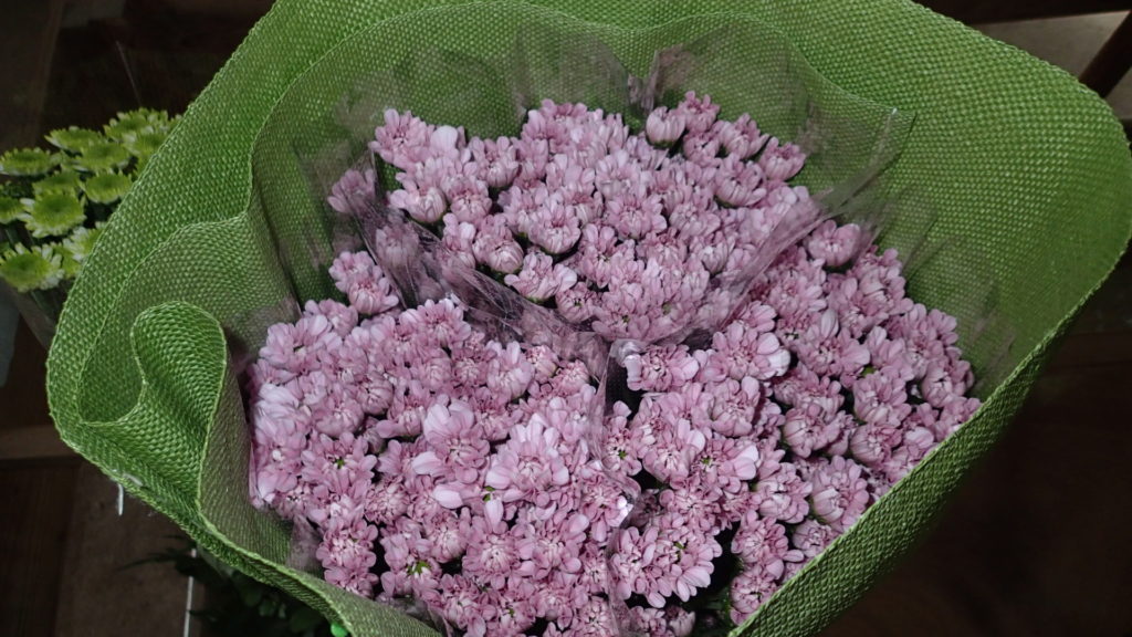 品種名、アモロッサです。