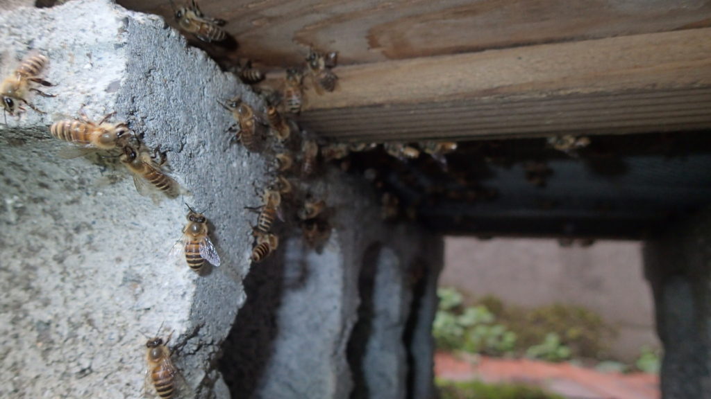 一度、底に到着してから上がる感じです。