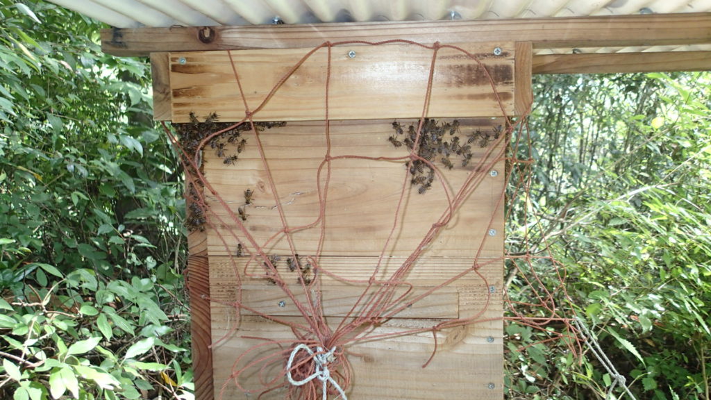 この日が一番少ないでした。