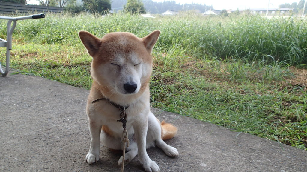 そっかぁ～、かわいそうだねェ！