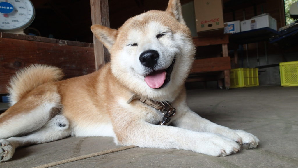 いつも、ありがとうね！