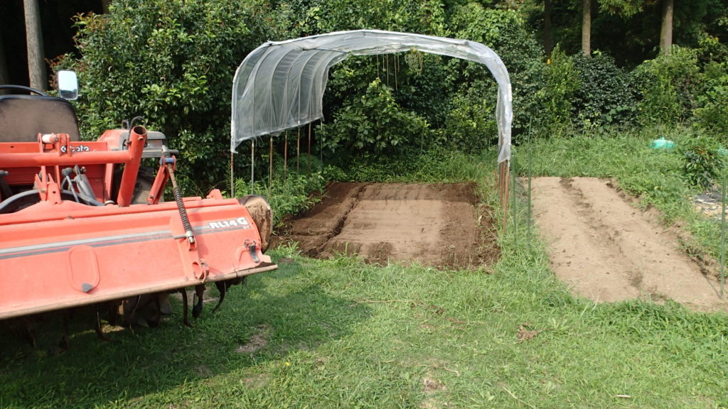 トマトハウス、さて次は何を植えるのでしょうか？