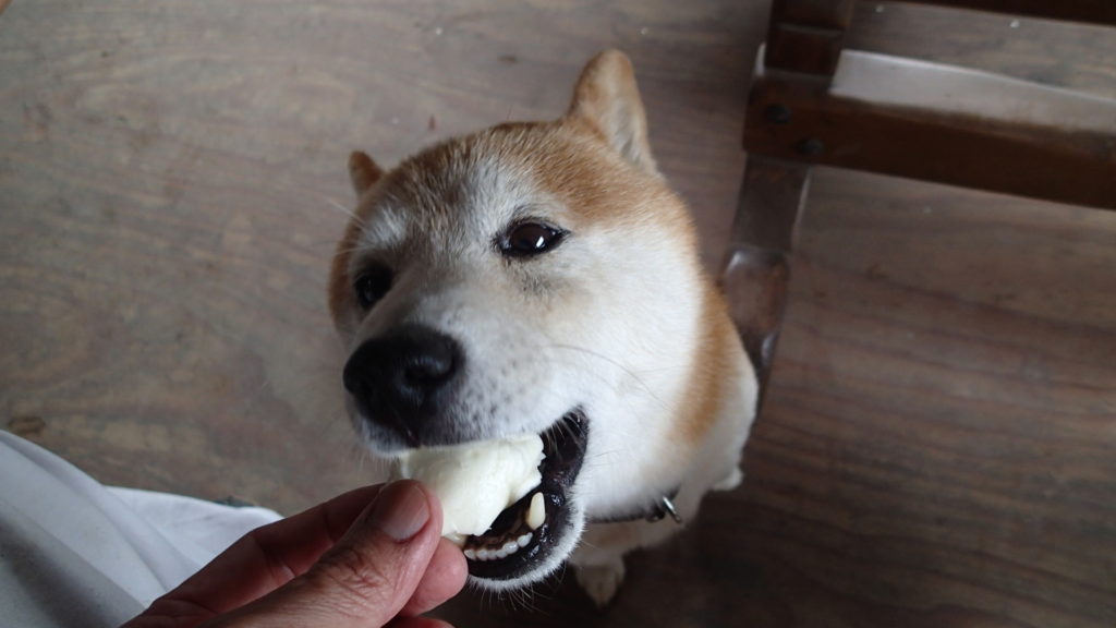 結構やわらかいんですよね!