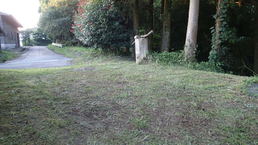 裏庭への通路、ビーバーしました。