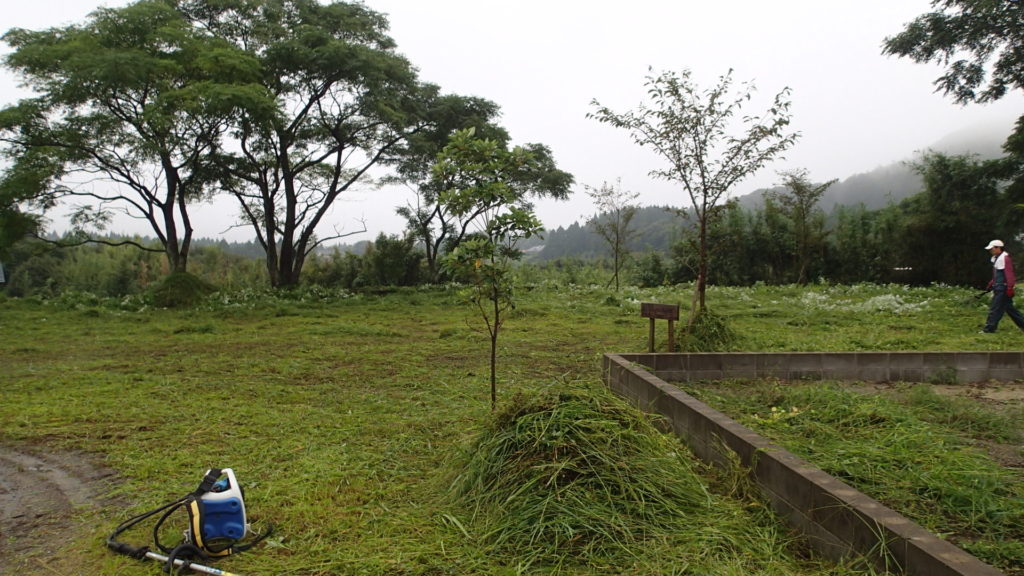 主役はビーバーです。