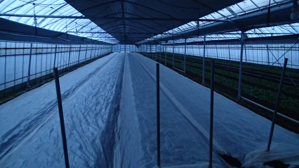 少し暗くなってしまいました。