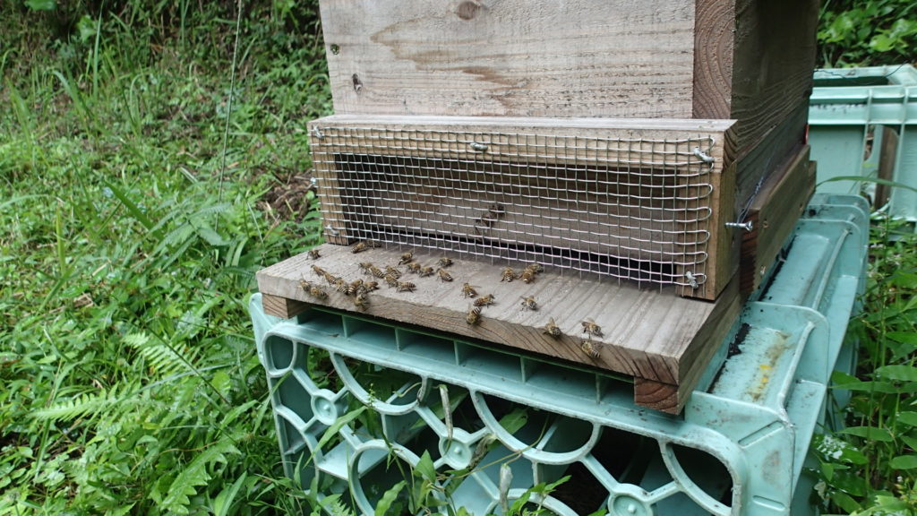 元気でいました。