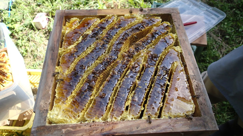 2段切り離し、3段目