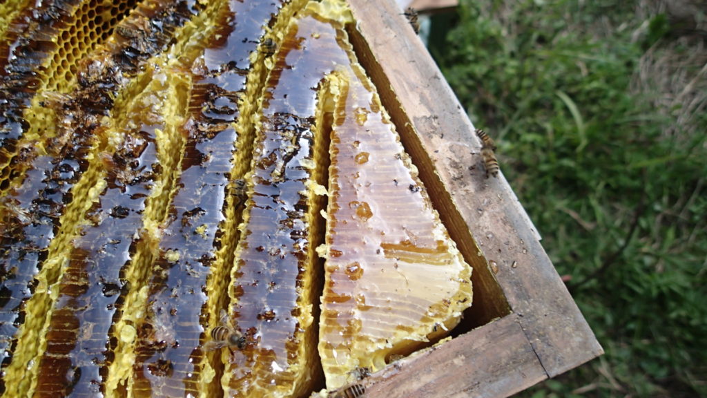 隅ですが、こんな形もあるんですね。