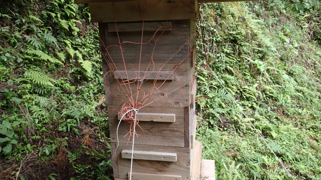 フラワーネットを絞りこんで杭にくくります。