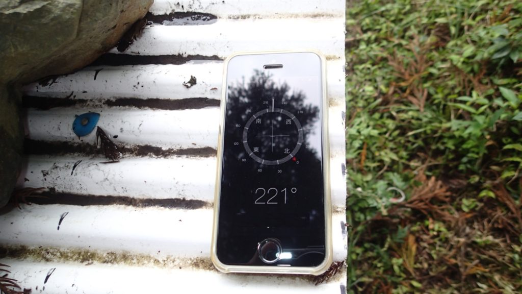 巣門方向を向いています。