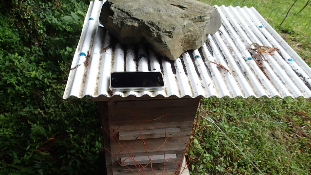 スマホと巣箱