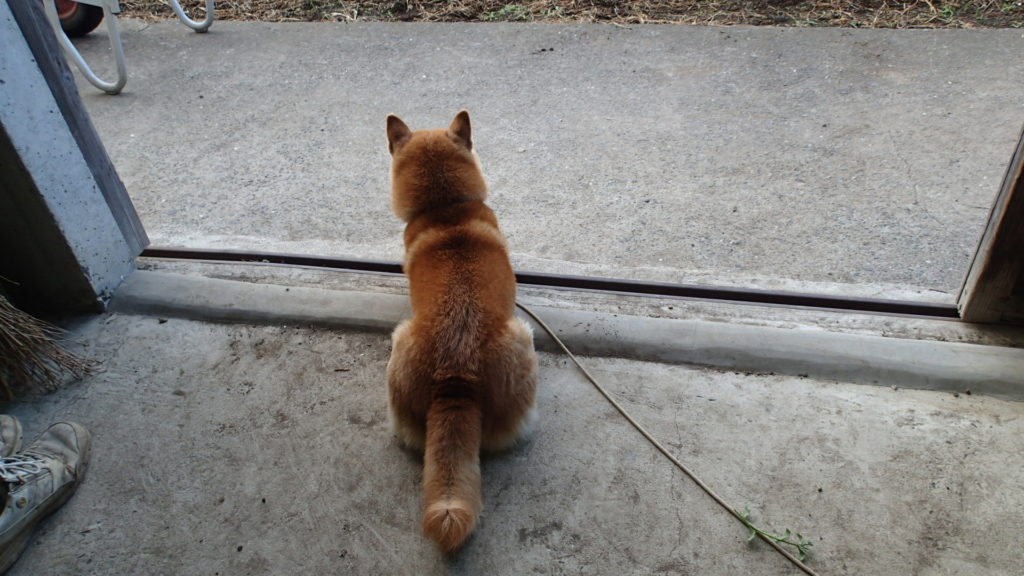 雲行きがあやしいの・・・