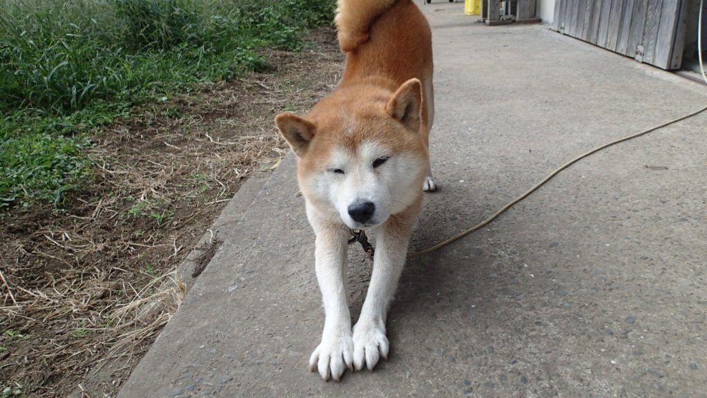 どう？おばちゃん台風の雲は？