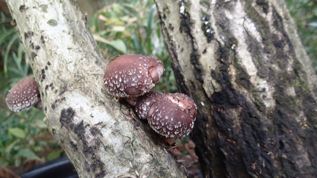 うれしかったなぁ～！