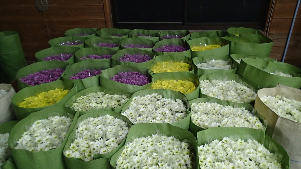 今日は多かった・・・