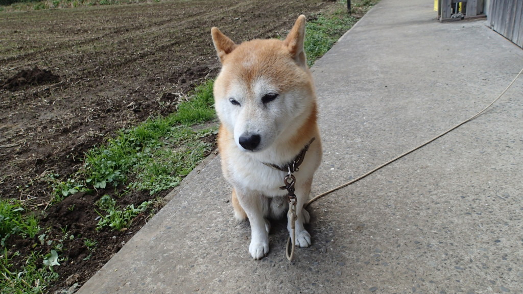 思えば一週間前・・・