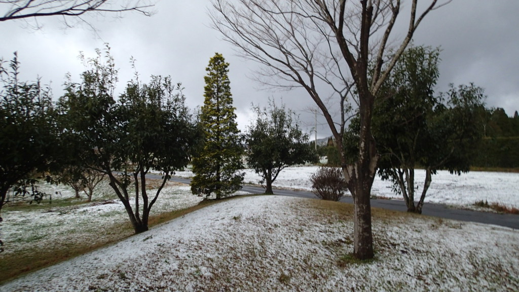 少ない雪はすぐとけてしまいました。