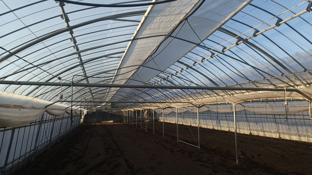 中二重取り付け、一日仕事です。