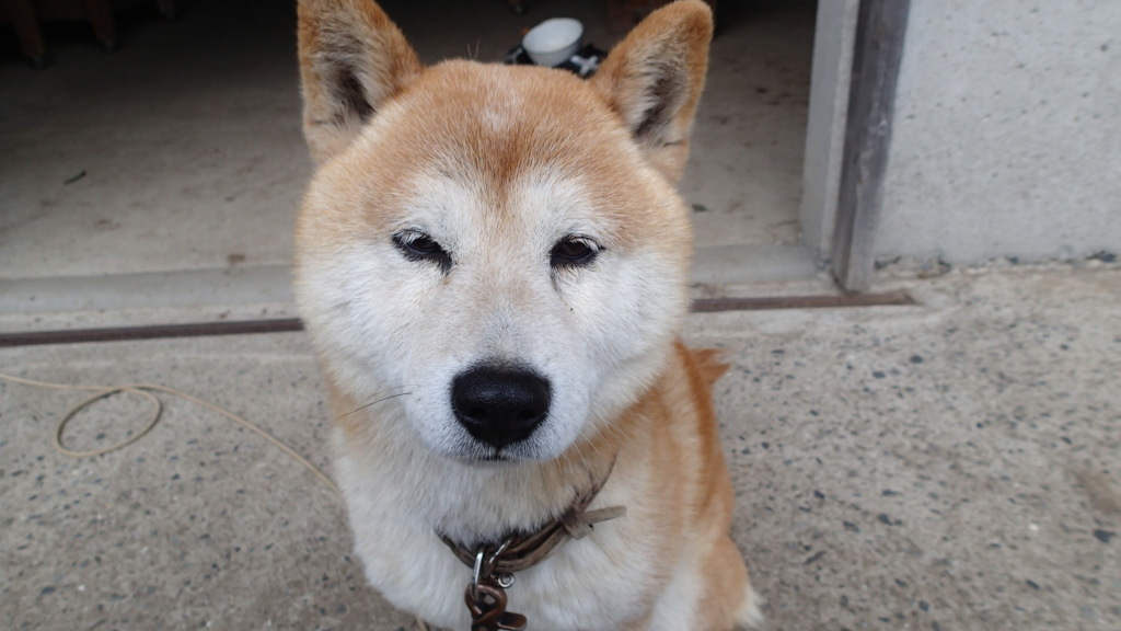 カメラ目線ですけど、涙見えるかな？