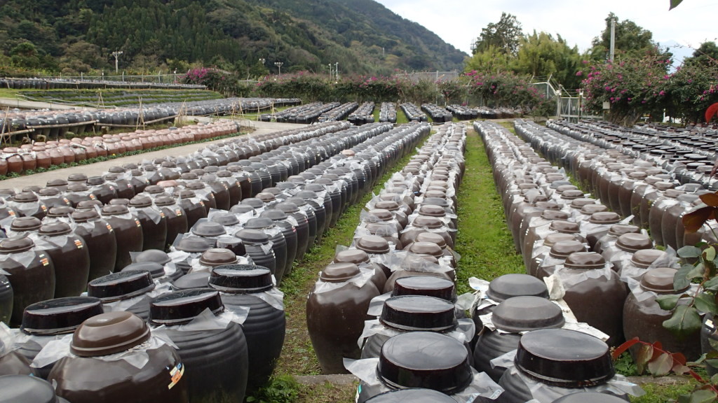たくさんの壷があります。