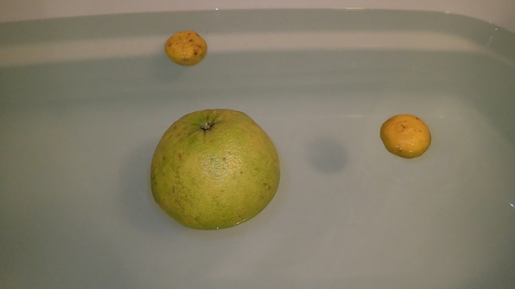 ぼんたん　と　ゆず