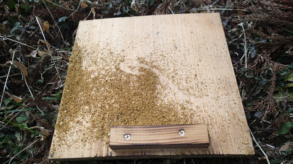 底板、少し巣くずがありました。