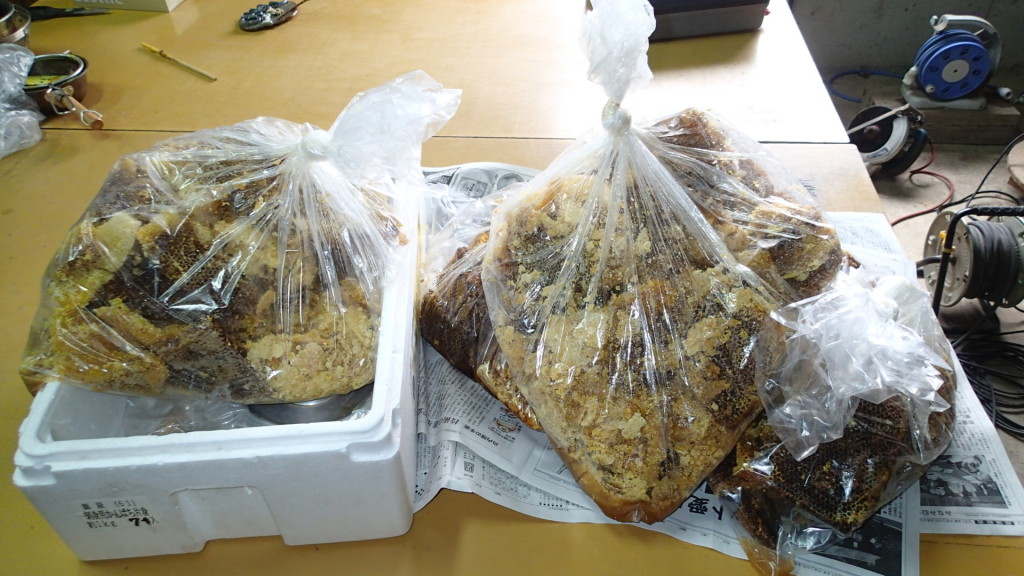 今回はこれだけしました。