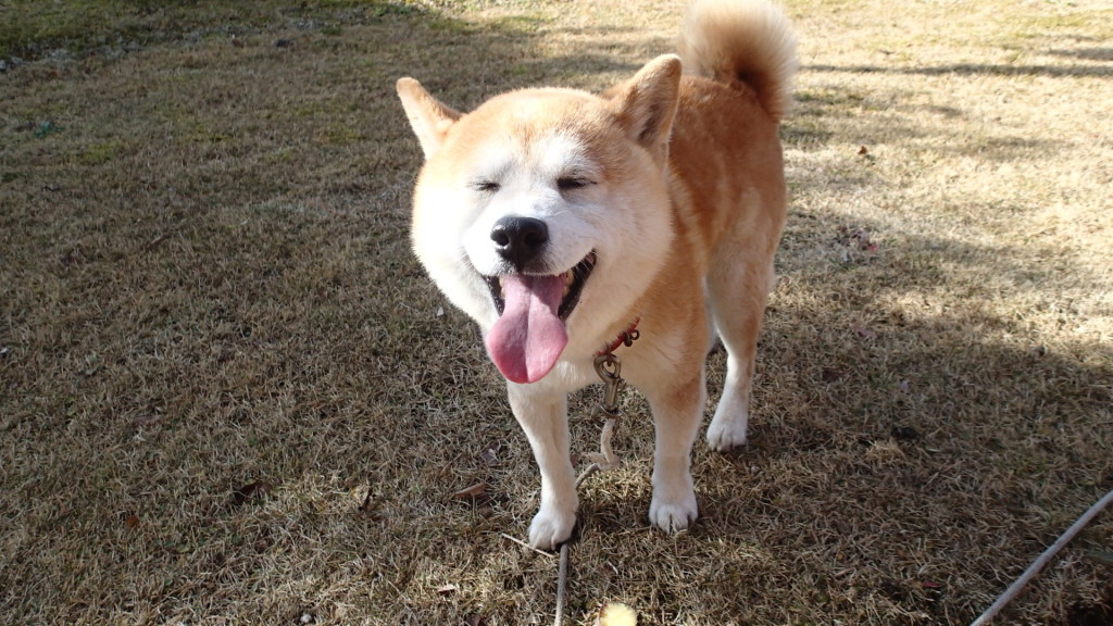 いっぱいボール遊びしました。