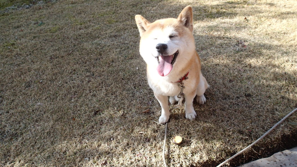 待て、しています。