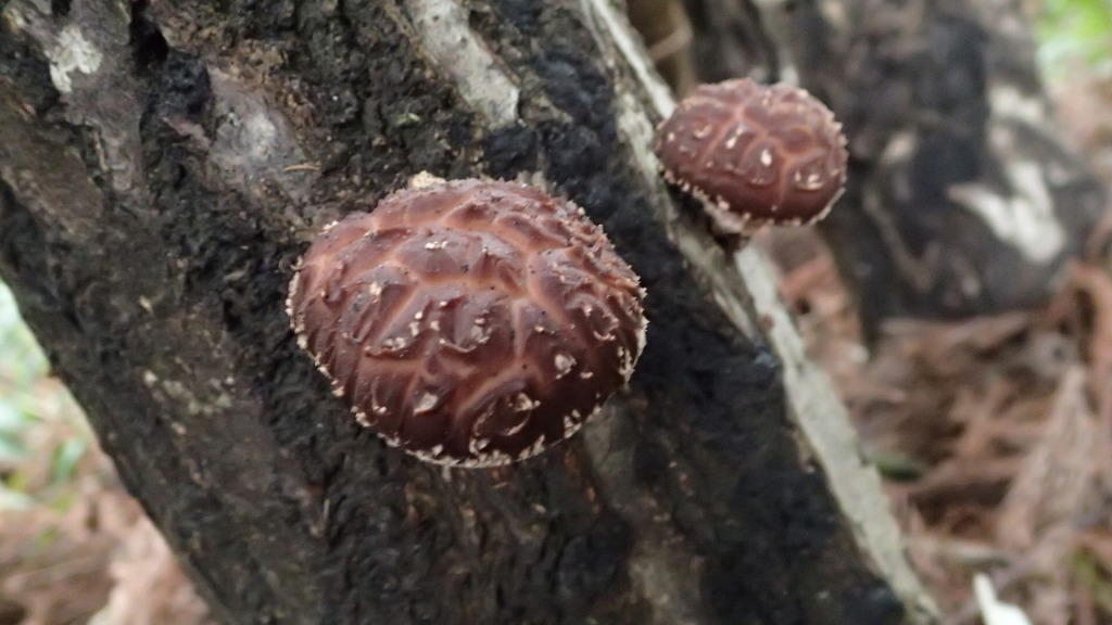 あともう少し、頑張れって応援したくなります。