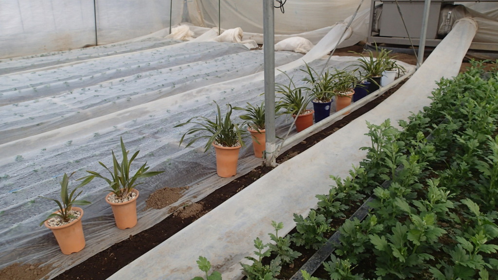 数が少ないので移動も楽です。