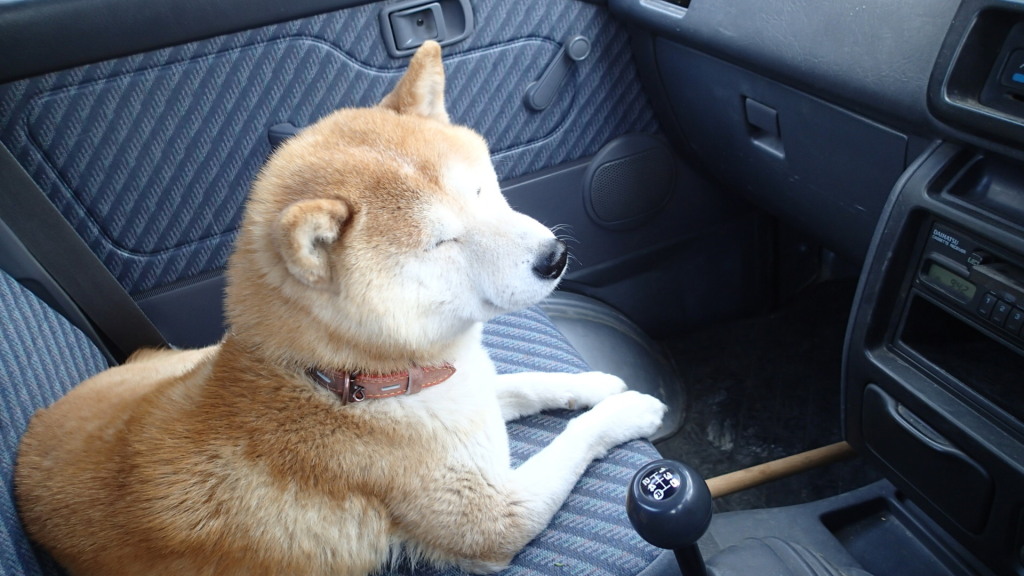 シートもいいね