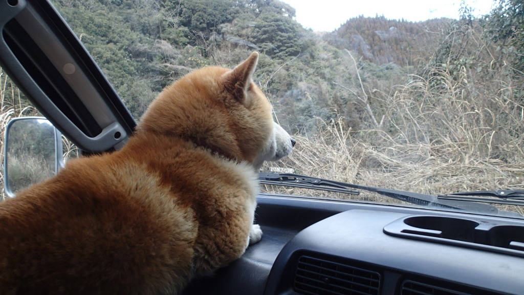 山だね!春は近いかもね!