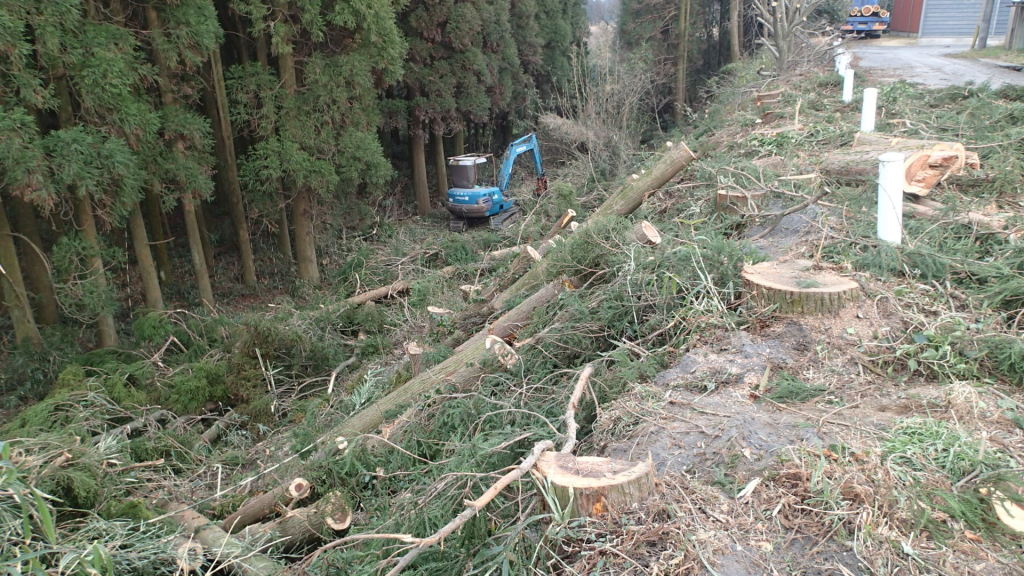 すっきりなりました。