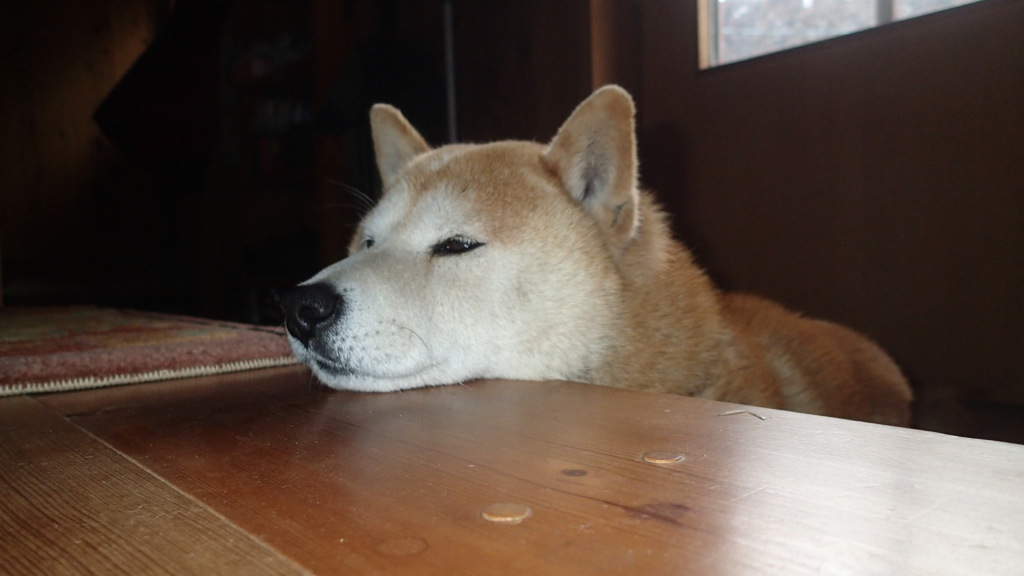 玄関、あご載せはいいです。