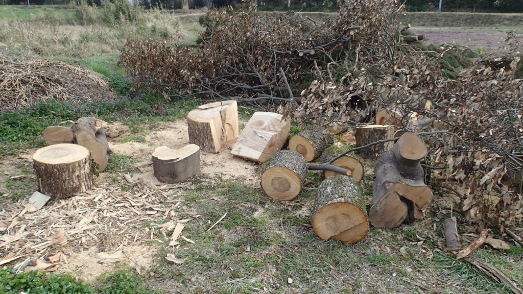 まだ少し残っています。