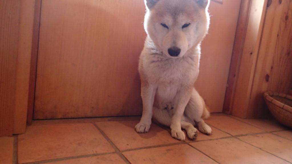 なんて表現していいかって？気持ちと体は違うのよ！