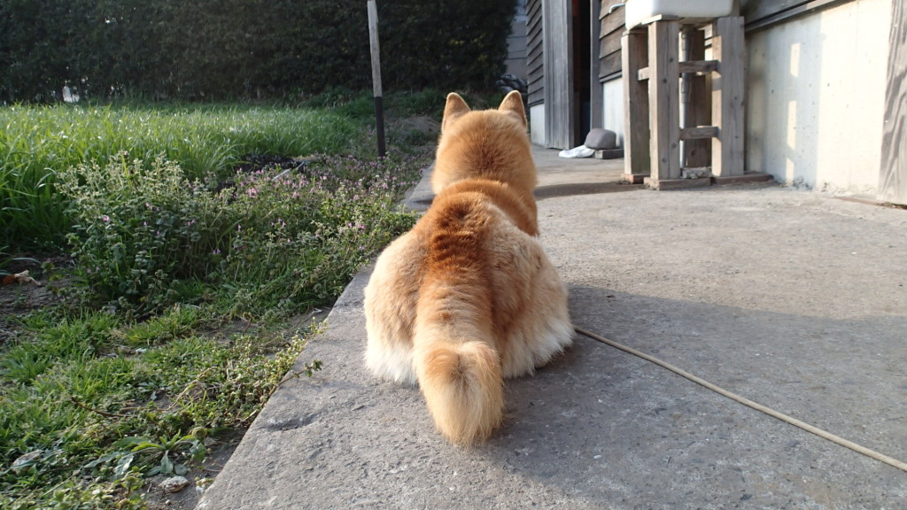 しまった！うしろをとられてしまった！