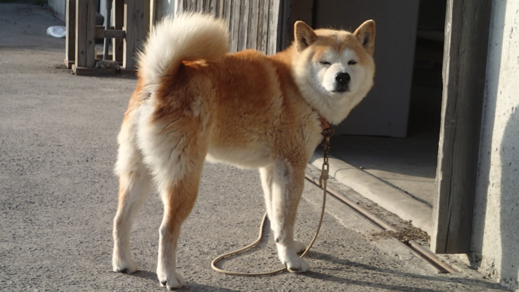 ん？タロちゃん？